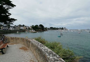 Randonnée V.T.T. Saint-Gildas-de-Rhuys - 56 vtt boucle Arzon/ port Navalo/ Crouesty/St Gildas de Rhuys - Photo