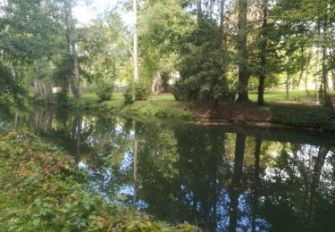 Trail Walking Brunoy - Le Réveillon à l'Abbaye  - Photo