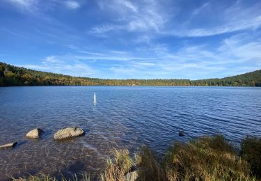 Excursión Senderismo Cayres - Lac du Bouchet - Photo
