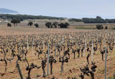 Tour Wandern Ramatuelle - cadenet - Photo