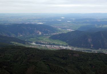 Trail On foot Gemeinde Weinzierl am Walde - Wolfenreith-Mühldorf - Photo