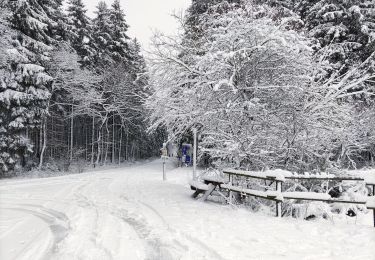 Randonnée Marche Bullange - La vallée perdue - Rocherath - Photo