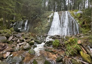 Trail Walking Vagney - Cascade de la Pissoire - Haut du Tôt  - Photo