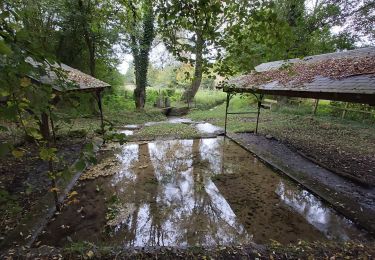 Trail Walking Valorbiquet - St Cyr du Ronceray-Tordouet-St Martin de Bienfaite-Cernay - Photo