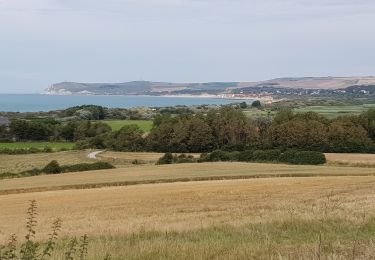 Tocht Te voet Audinghen - circuit du cap gris nez à Wissant - Photo