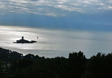 Excursión Senderismo Saint-Raphaël - Les Ferrières - Photo