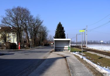 Tour Zu Fuß Bad Wimsbach-Neydharting - Natur Pur - Photo