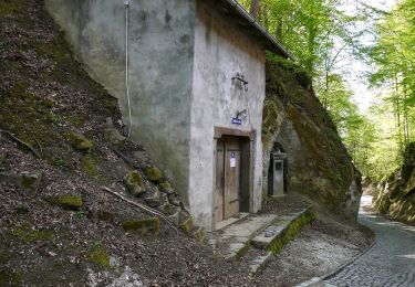 Tocht Te voet Raab - Schacherwaldweg - Photo