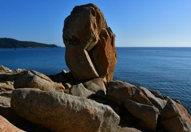 Tour Wandern Ramatuelle - Col de Collebasse - Plage de l'Escalet - Cap Taillat - Cap Lardier  - Photo