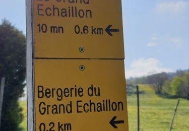 Tour Wandern Léoncel - Leoncel  - Photo