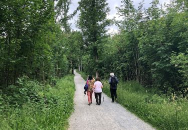 Tour Zu Fuß Unbekannt - Rundweg A2 (Schellenberger Wald) - Photo