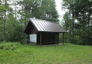 Tour Zu Fuß  - Gaggenau - Ebersteinburg - Photo