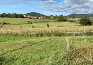 Tocht Stappen Alleyrac - PR581 : le moulin du Rocher - Photo