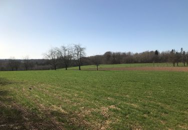 Trail Horseback riding Fougerolles-Saint-Valbert - Balade 1h vers chez le poix - Photo