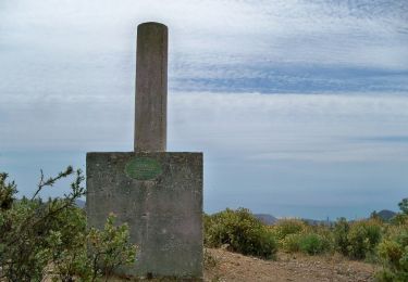 Tour Zu Fuß Malaga - Sendero Picapedrero-Boticario - Photo