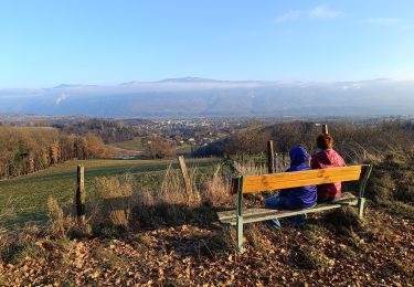 Trail Walking Saint-Marcellin - Table d'orientation Chevrières  - Photo