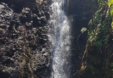 Trail Walking Achadas da Cruz - Levada des moines 1 - Photo