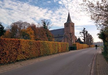 Randonnée A pied Brummen - Dwars door Gelderland (17) - Photo