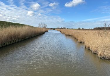 Trail Walking Sluis - Cadzand Bad Niewvliet Bad Zwarte polders 16,3 km - Photo