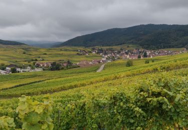 Tour Reiten Bergheim - SityTrail - 2020-10-15 Rando CVA Ribeauville Orbey - Photo