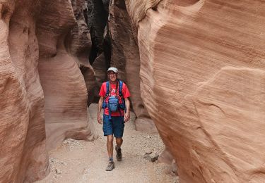 Trail Walking  - 2024 Vermillon Cliffs Bucksin Trail - Photo