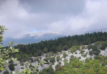 Tocht Stappen Flassan - PF-Flassan - La Combe de Canaud - Photo