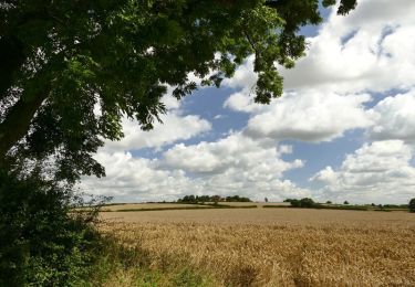 Tocht Te voet Bassetlaw - Trent Valley Way - Photo