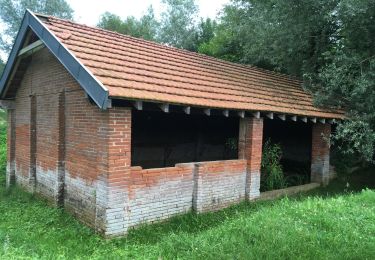 Tocht Stappen Nailloux - Nailloux  - Photo