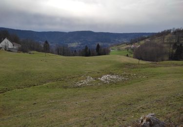 Randonnée Marche Saulxures-sur-Moselotte - circuit roche fendue, tayeux - Photo