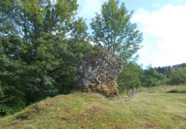 Excursión A pie Gersfeld - Rhön-Rundweg 3 Dalherda - Photo