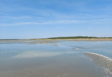 Randonnée Marche Le Crotoy - balade baie de somme - Photo