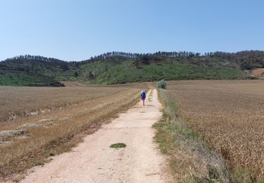 Trail Walking Ayegui - 06 2023 los arcos - Photo