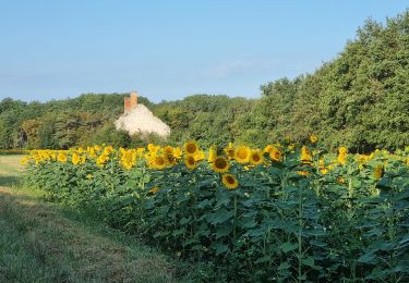 Tocht Stappen Sassay - sassay gs 2023 - Photo