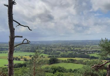 Tour Wandern Cerisy-Belle-Étoile - mont cerisy grand c - Photo