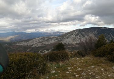 Trail Walking Bédoin - les ramayettes - Photo