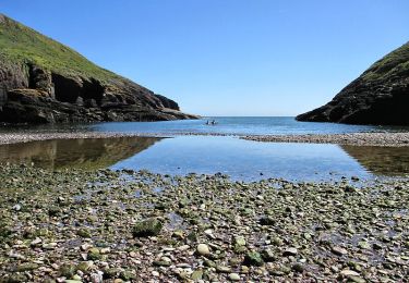 Percorso A piedi Waterford City Metropolitan District - Coast Walk, and road return - Photo