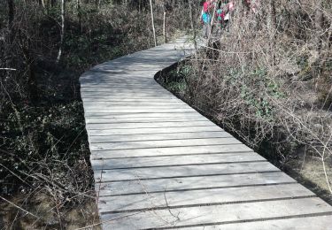 Tocht Stappen Saillans - chataignier - Photo