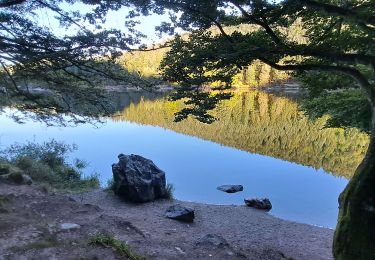 Randonnée Marche La Bresse - VOSGES 2023 - Jour 1 - Le Lac aux Corbeaux - Photo