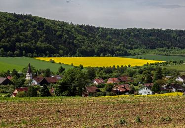 Excursión A pie Dietfurt an der Altmühl - Moosbärnweg - Photo