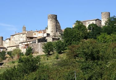 Tour Wandern Saint-Vincent-de-Barrès - Saint-Vincent-de-Barrès 