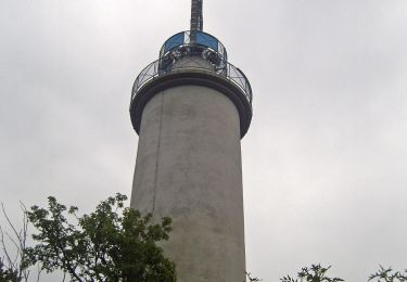 Tocht Te voet Gomadingen - Zugangsweg - Ebingen - Weg Nr. 2 - Jausenteich - Richtung Bitz bis Markungsgrenze Bitz - Photo