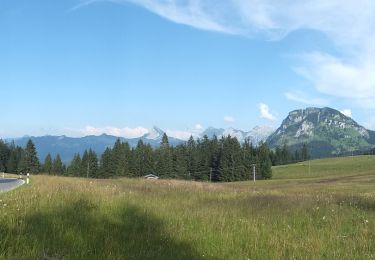 Randonnée A pied Vorderthal - Tuggner Hüttli - Sattelegg - Photo