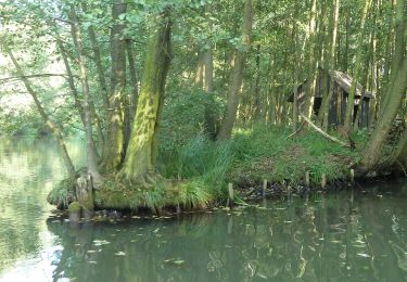 Tour Zu Fuß Lübbenau/Spreewald - Wanderweg Leipe-Kossateich (grüner Balken) - Photo