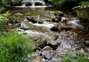 Trail Walking Jalhay - La balade des ruisseaux - Photo