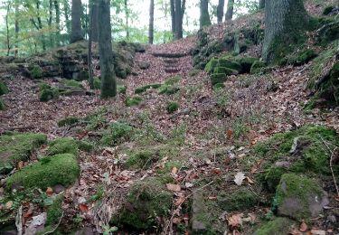 Randonnée A pied Freudenberg - Rundwanderweg Freudenberg Kreuzschleife 1: Schloss-Weg - Photo