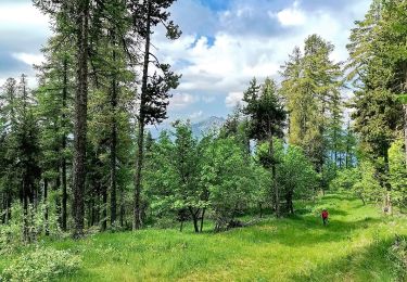 Randonnée Marche Saint-Bonnet-en-Champsaur - Crête Le Barry Via Les Infournas Hauts - Photo