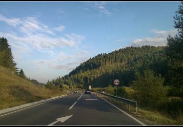 Excursión A pie  - Neagra - Pârâul Schwarz - Poiana Cădăreni - Pârâul Cădăreni - Neagra - Photo