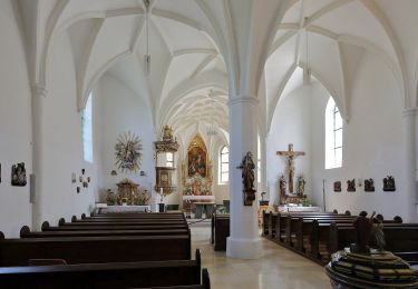 Tour Zu Fuß Sankt Willibald - Historischer Wanderweg - Photo