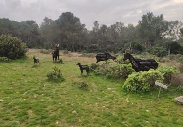 Trail Walking Tarascon - Parking du Planet - Chapelle St Gabriel - Photo