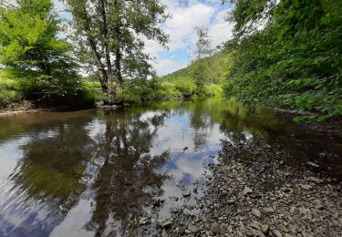 Tocht Stappen Viroinval - Boucle Olloy - Vierves par la rive droite du Viroin - Photo